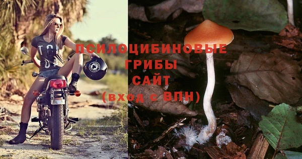 спиды Алексеевка